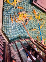 -酷嗒动物文化乐园(cutezoo西溪乐天城店)