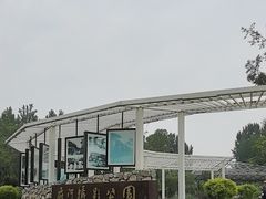 -府河摄影公园