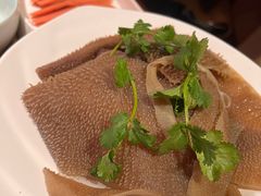 -季季红火锅(动壹店)