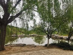 -鬼笑石后山停车场
