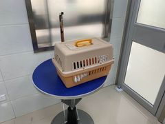 -佳雯宠物医院(金华南路分院)