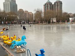 -团结湖公园