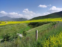 -扁都口生态休闲旅游区