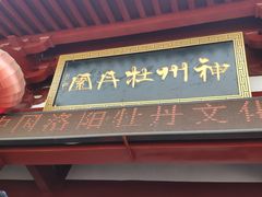-神州牡丹园