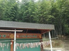 -广州市石门国家森林公园
