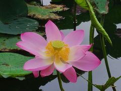 -长春市南湖公园