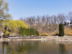 -棒棰岛宾馆景区