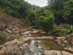 -广州白江湖森林公园