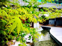 -北京协和医院(东单院区)