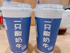 -一只酸奶牛(八一路店)