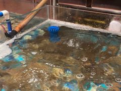 -萧邦音乐会所KTV·蒸汽活海鲜自助(福田店)