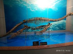 -自贡恐龙博物馆