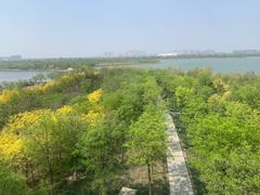 -天津东丽湖风景区