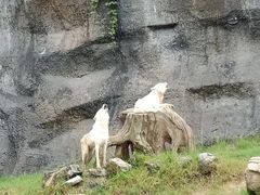 -杭州野生动物世界