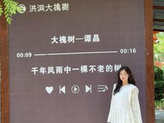 -大槐树寻根祭祖园
