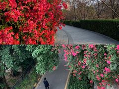 -小南山公园