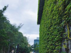 -大埔公路-马料水段香港中文大学(公交站)