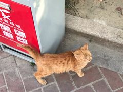 -大场体育中心羽毛球馆