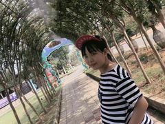 -武汉紫薇都市田园