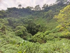 -海口火山口国家地质公园