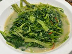 -优之名鹅城