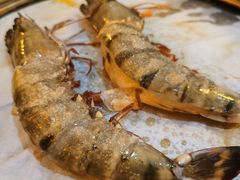 -熊出没日本烧肉放题