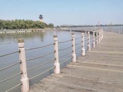 -溱湖国家湿地公园