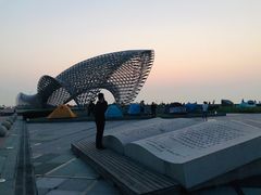 -南汇嘴观海公园