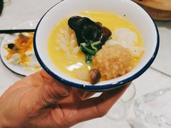 -邵年鸽(杨庄店)