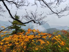 -洛阳白云山景区