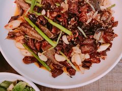 火爆鳝片-铁公鸡·四川料理(天环广场店)