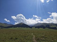 -蘑菇拌面•正宗新疆菜