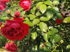 -雪浪山卡丁车俱乐部