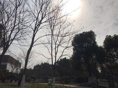 -杭州城北体育公园