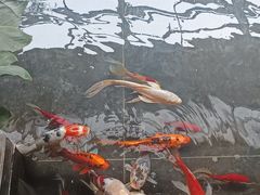 -天津海河悦榕庄·Lobby Lounge大堂吧