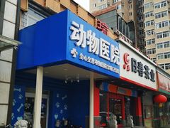 -全心全意连锁动物医院·特色中医诊疗(会城门分院)