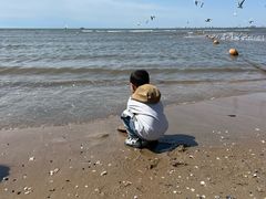 -老虎石海上公园