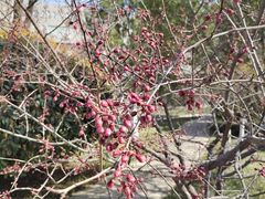 -山东师范大学(千佛山校区)