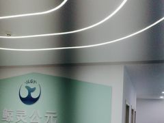 -鲸灵公元游泳中心