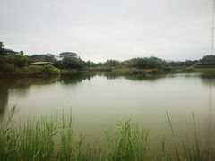 -福田红树林生态公园