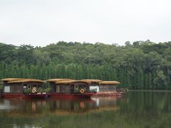 -三水森林公园