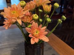 -Apollo·西班牙小酒馆(安福路店)