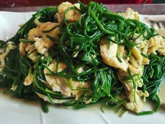 沙葱炒蛋-胡羊焖饼(敦煌店)