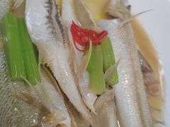 -双生不夜粥