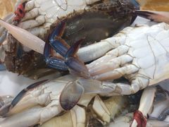 -春华海鲜城(广场西苑店)