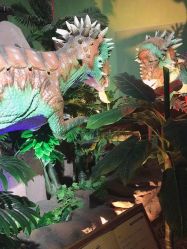 -恐龙探索乐园(磁器口店)