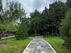 -元大都城垣遗址公园
