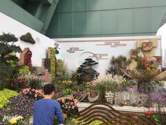 -重庆市江北嘴中央商务区中央公园