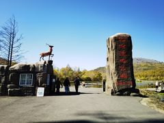 -洮儿河国家湿地公园