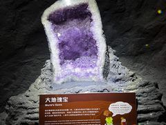 -正佳自然科学博物馆